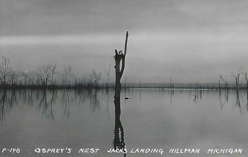 Jacks Landing - Vintage Photo (newer photo)